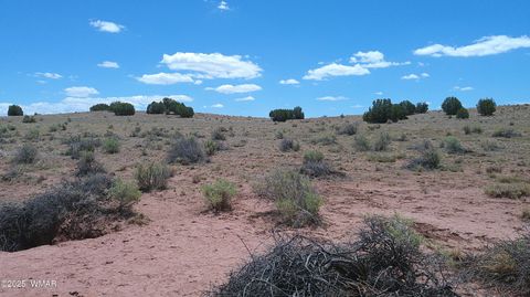 Tiny photo for TBD Ranch of the White Mountains, Concho, AZ 85924 (MLS # 257118)