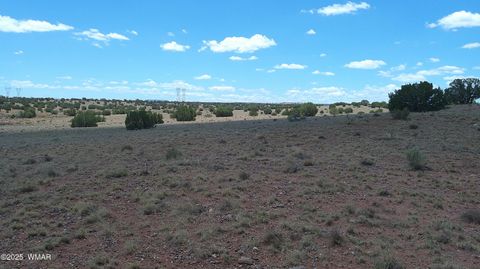 Tiny photo for TBD Ranch of the White Mountains, Concho, AZ 85924 (MLS # 257118)