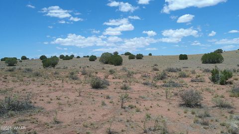 Tiny photo for TBD Ranch of the White Mountains, Concho, AZ 85924 (MLS # 257118)