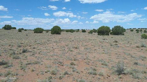 Tiny photo for TBD Ranch of the White Mountains, Concho, AZ 85924 (MLS # 257118)