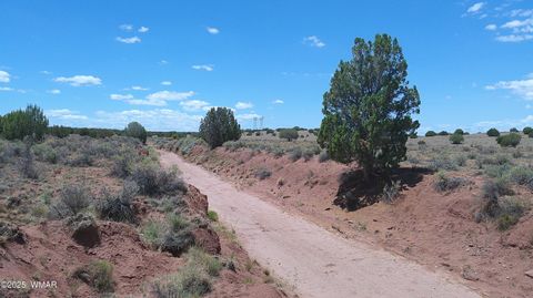 Tiny photo for TBD Ranch of the White Mountains, Concho, AZ 85924 (MLS # 257118)