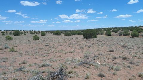 Tiny photo for TBD Ranch of the White Mountains, Concho, AZ 85924 (MLS # 257118)