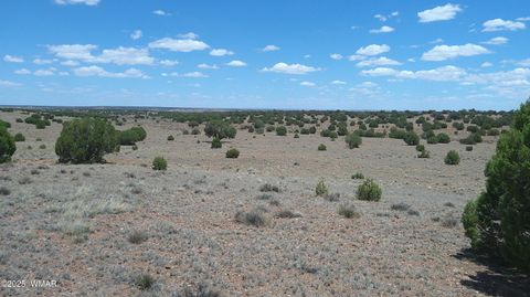 Tiny photo for TBD Ranch of the White Mountains, Concho, AZ 85924 (MLS # 257118)