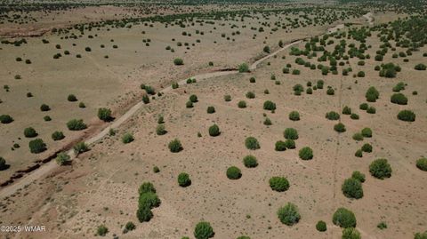 Tiny photo for TBD Ranch of the White Mountains, Concho, AZ 85924 (MLS # 257118)