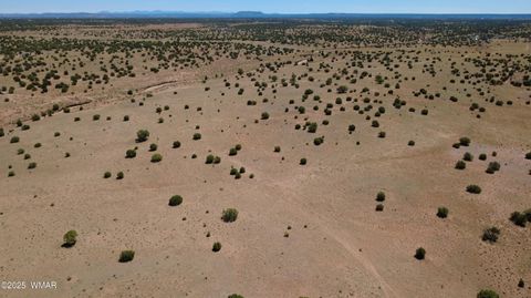 Tiny photo for TBD Ranch of the White Mountains, Concho, AZ 85924 (MLS # 257118)