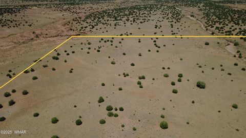 Tiny photo for TBD Ranch of the White Mountains, Concho, AZ 85924 (MLS # 257118)