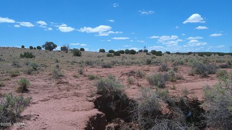 Tiny photo for TBD Ranch of the White Mountains, Concho, AZ 85924 (MLS # 257118)