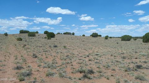 Tiny photo for TBD Ranch of the White Mountains, Concho, AZ 85924 (MLS # 257118)