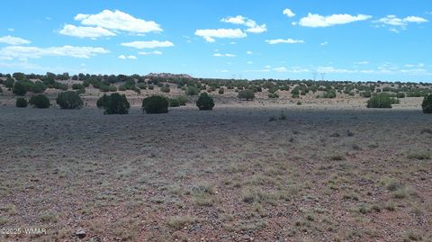 Tiny photo for TBD Ranch of the White Mountains, Concho, AZ 85924 (MLS # 257118)