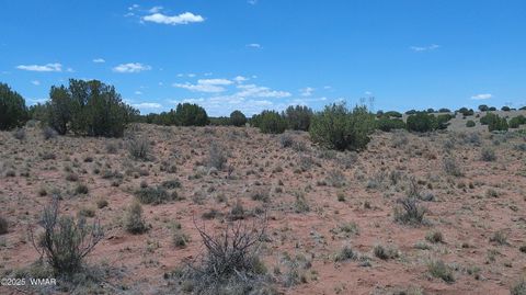 Tiny photo for TBD Ranch of the White Mountains, Concho, AZ 85924 (MLS # 257118)