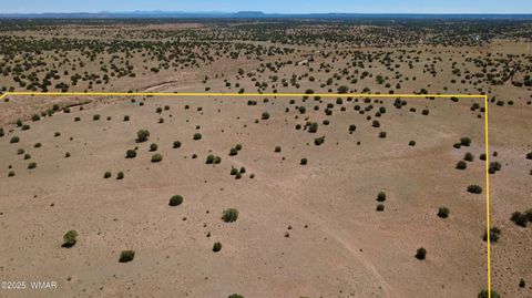 Tiny photo for TBD Ranch of the White Mountains, Concho, AZ 85924 (MLS # 257118)