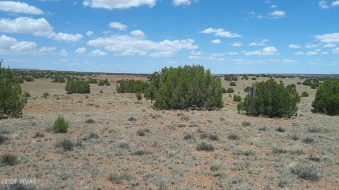 Tiny photo for TBD Ranch of the White Mountains, Concho, AZ 85924 (MLS # 257118)