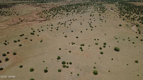 Tiny photo for TBD Ranch of the White Mountains, Concho, AZ 85924 (MLS # 257118)