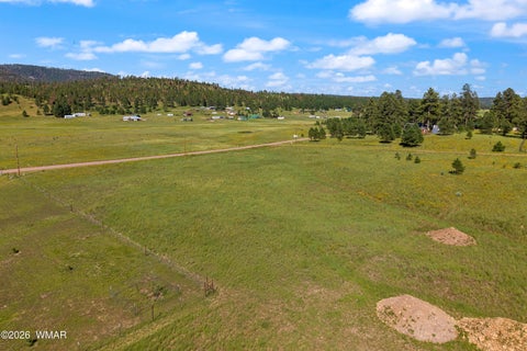 Tiny photo for 18 Co Rd 2092, Alpine, AZ 85920 (MLS # 263037)