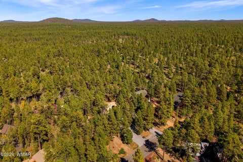 Tiny photo for 6700 Mark Twain Dr, Pinetop, AZ 85935 (MLS # 263411)