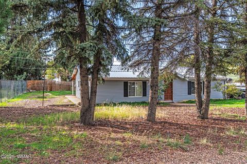 Tiny photo for 660 N 5Th Drive, Show Low, AZ 85901 (MLS # 258337)