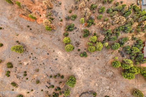 Tiny photo for TBD Country Club Drive, Overgaard, AZ 85933 (MLS # 259287)
