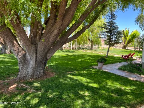 Tiny photo for 7525 E Sherwood Drive, Snowflake, AZ 85937 (MLS # 260247)