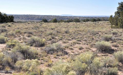 Tiny photo for 623C Lazy S Ranch Rd, Concho, AZ 85924 (MLS # 258670)