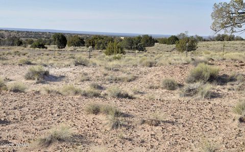 Tiny photo for 623C Lazy S Ranch Rd, Concho, AZ 85924 (MLS # 258670)