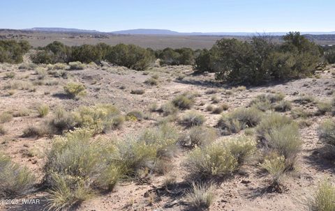 Tiny photo for 623C Lazy S Ranch Rd, Concho, AZ 85924 (MLS # 258670)