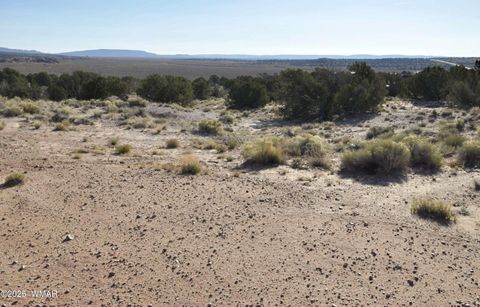Tiny photo for 623C Lazy S Ranch Rd, Concho, AZ 85924 (MLS # 258670)