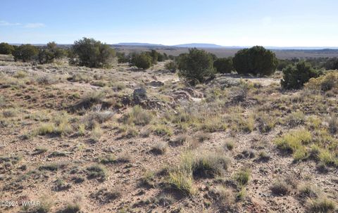 Tiny photo for 623C Lazy S Ranch Rd, Concho, AZ 85924 (MLS # 258670)