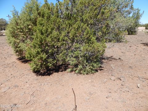 Tiny photo for 8337 Navajo Drive, Show Low, AZ 85901 (MLS # 257284)