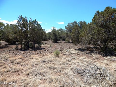 Tiny photo for 8337 Navajo Drive, Show Low, AZ 85901 (MLS # 257284)