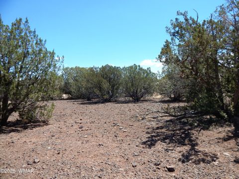Tiny photo for 8337 Navajo Drive, Show Low, AZ 85901 (MLS # 257284)