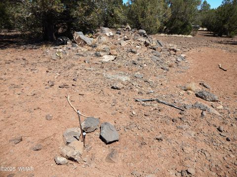 Tiny photo for 8337 Navajo Drive, Show Low, AZ 85901 (MLS # 257284)