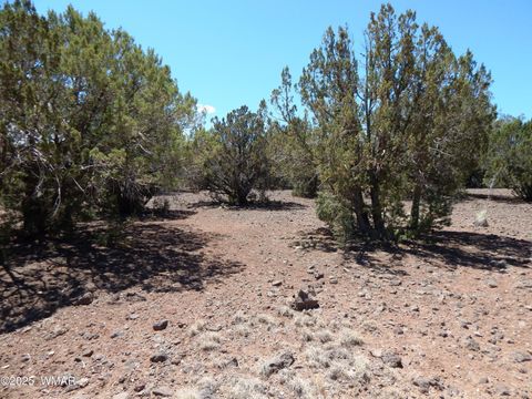 Tiny photo for 8337 Navajo Drive, Show Low, AZ 85901 (MLS # 257284)