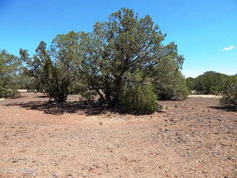 Tiny photo for 8337 Navajo Drive, Show Low, AZ 85901 (MLS # 257284)
