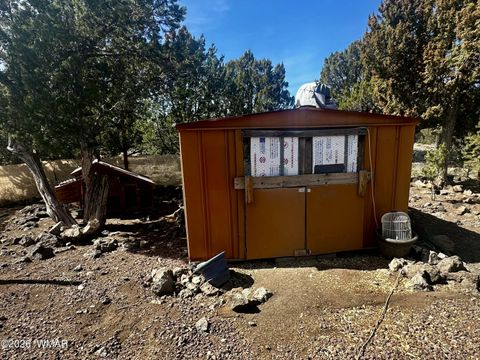 Tiny photo for 8451 Javelina Drive, Show Low, AZ 85901 (MLS # 259794)