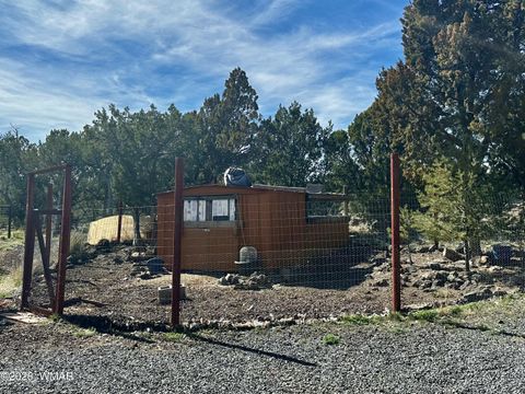 Tiny photo for 8451 Javelina Drive, Show Low, AZ 85901 (MLS # 259794)