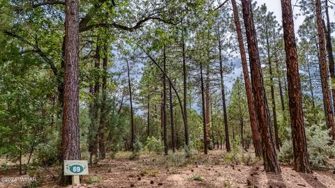 Tiny photo for 5039 Winter Hawk Court, Lakeside, AZ 85929 (MLS # 257225)