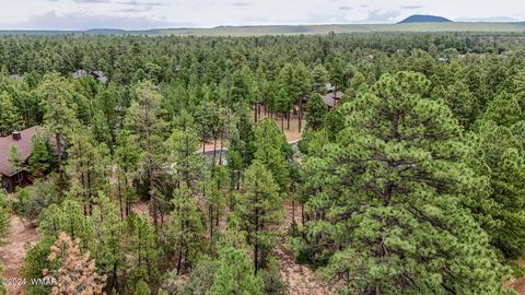 Tiny photo for 5039 Winter Hawk Court, Lakeside, AZ 85929 (MLS # 257225)