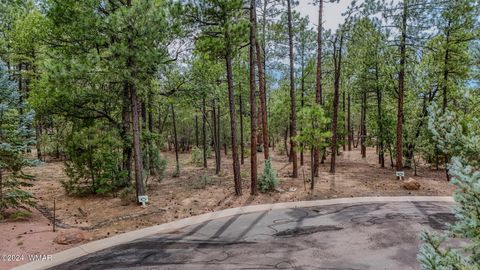Tiny photo for 5039 Winter Hawk Court, Lakeside, AZ 85929 (MLS # 257225)