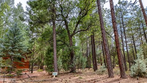 Tiny photo for 5039 Winter Hawk Court, Lakeside, AZ 85929 (MLS # 257225)