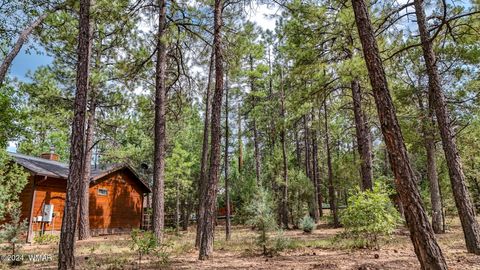 Tiny photo for 5039 Winter Hawk Court, Lakeside, AZ 85929 (MLS # 257225)