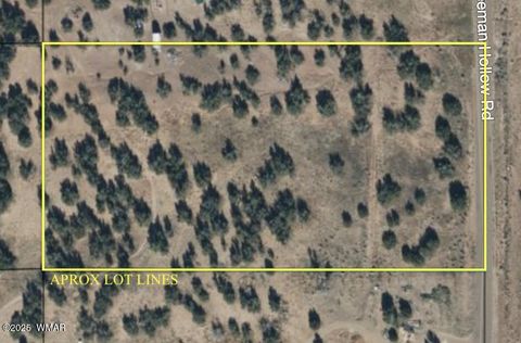 Tiny photo for 3920 S Freeman Hollow Road, Snowflake, AZ 85937 (MLS # 258809)
