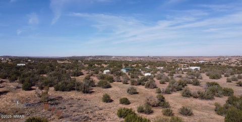 Tiny photo for 3920 S Freeman Hollow Road, Snowflake, AZ 85937 (MLS # 258809)