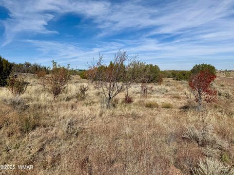 Photo of 3920 S Freeman Hollow Road, Snowflake, AZ 85937 (MLS # 258809)