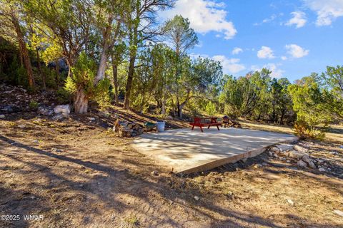 Tiny photo for 3684 Diamondback Drive, Overgaard, AZ 85933 (MLS # 258278)