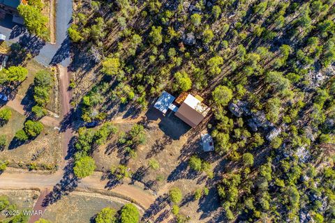 Tiny photo for 3684 Diamondback Drive, Overgaard, AZ 85933 (MLS # 258278)