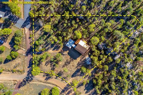 Tiny photo for 3684 Diamondback Drive, Overgaard, AZ 85933 (MLS # 258278)