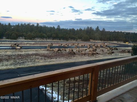 Tiny photo for 2872 Chandelle Lane, Overgaard, AZ 85933 (MLS # 257814)