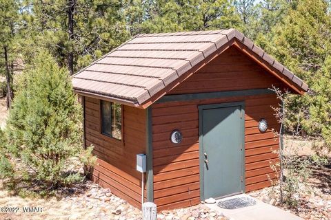 Tiny photo for 2872 Chandelle Lane, Overgaard, AZ 85933 (MLS # 257814)