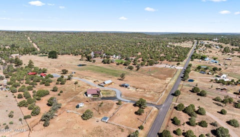 Tiny photo for 1594 Scotts Lane, Pinedale, AZ 85934 (MLS # 261863)
