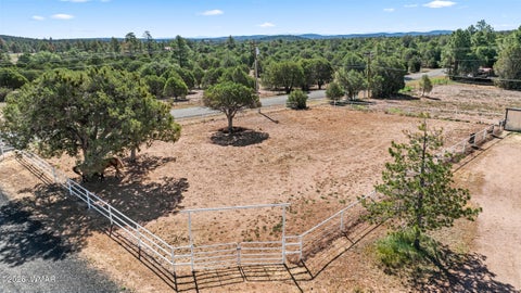 Tiny photo for 1594 Scotts Lane, Pinedale, AZ 85934 (MLS # 261863)